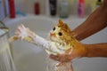 Washing the cat. Wet, scared and unhappy cat in human hands Royalty Free Stock Photo