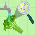 Washing contaminated celery