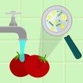 Washing contaminated tomatoes