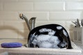 Washing dishes in the kitchen. Dirty dishes plates and glasses, lie in the sink in white foam Homework Royalty Free Stock Photo