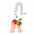 Washing fresh fruit and vegetable, hygiene healthy food flat illustration vector
