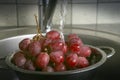 Washing fresh grapes in colander under the tap. Royalty Free Stock Photo