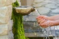 Washing hands in fresh, cold, potable source water on a mountain, Drinking Spring, Wooden Pipe of Fresh Potable, Unpolluted,