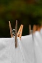 Washing line and clothes peg Royalty Free Stock Photo