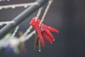 Washing line on a rainy day Royalty Free Stock Photo