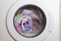 Washing machine door Royalty Free Stock Photo