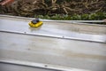 Washing the patio pergola roof cover made of aluminum. removing the dirty algae with brush soap and water close up in