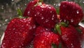 Washing strawberries