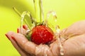Washing Strawberry Royalty Free Stock Photo