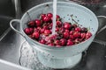 Washing sweet cherries in metal colander under water jet close-up. Royalty Free Stock Photo