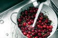 Washing sweet cherries in metal colander under water jet close-up. Royalty Free Stock Photo