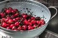 Washing sweet cherries in metal colander under water jet close-up. Royalty Free Stock Photo