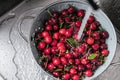 Washing sweet cherries in metal colander under water jet close-up. Royalty Free Stock Photo