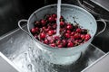 Washing sweet cherries in metal colander under water jet close-up. Royalty Free Stock Photo