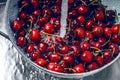 Washing sweet cherries in metal colander under water jet close-up. Royalty Free Stock Photo