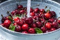 Washing sweet cherries in metal colander under water jet close-up. Royalty Free Stock Photo