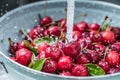 Washing sweet cherries in metal colander under water jet close-up. Royalty Free Stock Photo