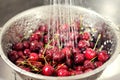 Washing sweet cherries in metal colander under water jet. Royalty Free Stock Photo