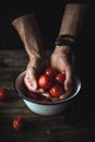 Washing tomatoes. Male chef washing tomatoes. Tomatoes in hands Royalty Free Stock Photo