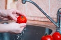 washing vegetable. Women hands wash vegetables before cooking under running water. Personal hygiene Royalty Free Stock Photo