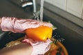 Washing vegetables. Hands in gloves washing pepper under water stream in sink during virus epidemic. Woman in pink hands cleaning Royalty Free Stock Photo
