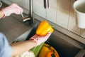 Washing vegetables. Hands in gloves washing pepper under water stream in sink during virus epidemic. Woman in pink hands cleaning Royalty Free Stock Photo