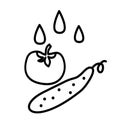 Washing vegetables icon. Line art style. Vector illustration. Cooking concept