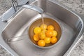 Washing yellow tomatoes Royalty Free Stock Photo