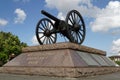 Washington Artillery Gun