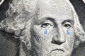 Washington Cries Close Up Royalty Free Stock Photo