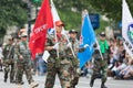 The National Memorial Day Parade Royalty Free Stock Photo