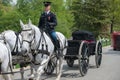 WASHINGTON D.C., USA - MAY, 2 2014 - US Army marine funeral at Arlington cemetery Royalty Free Stock Photo