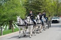 WASHINGTON D.C., USA - MAY, 2 2014 - US Army marine funeral at Arlington cemetery Royalty Free Stock Photo