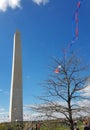 Cherry Blossom Kite Festival on the National Mall in Washington, DC. Royalty Free Stock Photo