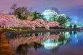 Washington DC at the Jefferson Memorial During Spring Season Royalty Free Stock Photo