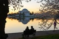 Washington DC, Jefferson Memorial in Spring Royalty Free Stock Photo