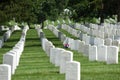 Washington, DC - June 01, 2018: Arlington National Cemetery. Royalty Free Stock Photo