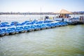 Paddleboats for rent on the tidal basin in Washington DC. This water sport activity is popular with Royalty Free Stock Photo