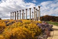 Washington DC National Capitol Columns in Autumn