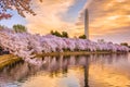 Washington DC in Spring Royalty Free Stock Photo