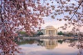 Washington, DC at the Tidal Basin and Jefferson Memorial Royalty Free Stock Photo