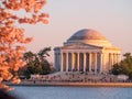 Jefferson Memorial during the spring cherry blossom season Royalty Free Stock Photo