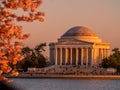 Jefferson Memorial during the spring cherry blossom season Royalty Free Stock Photo