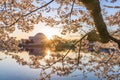 Washington, DC at the Tidal Basin and Jefferson Memorial Royalty Free Stock Photo