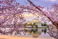 Washington DC, USA at the Jefferson Memorial Royalty Free Stock Photo