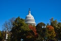 The Top of the Rotunda of the U.S. Capitol Building Peaks Above the Colorful Trees on a Bright Autumn Morning