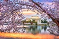 Washington DC in Spring Season Royalty Free Stock Photo