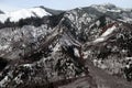 Washington Forest Mudslides