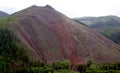 Washington Forest Mudslides Royalty Free Stock Photo