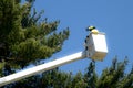 Washington mall with tree maintenance by national park service Royalty Free Stock Photo